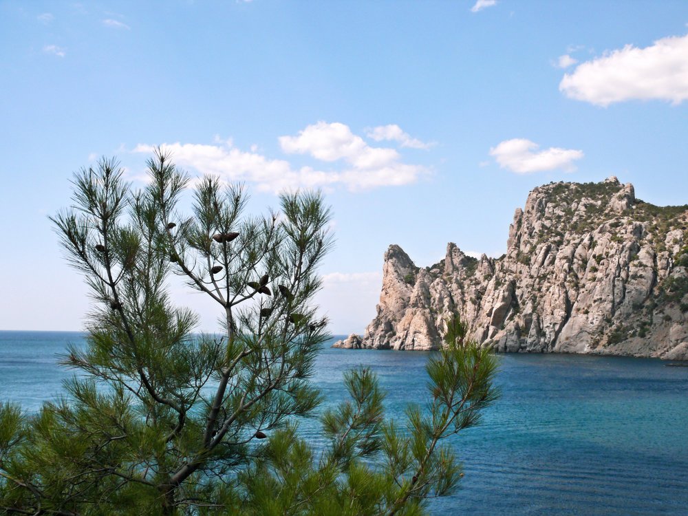 На просторах Крымского полуострова .