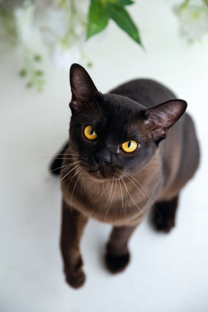 Фотография автора Ксения Лепина