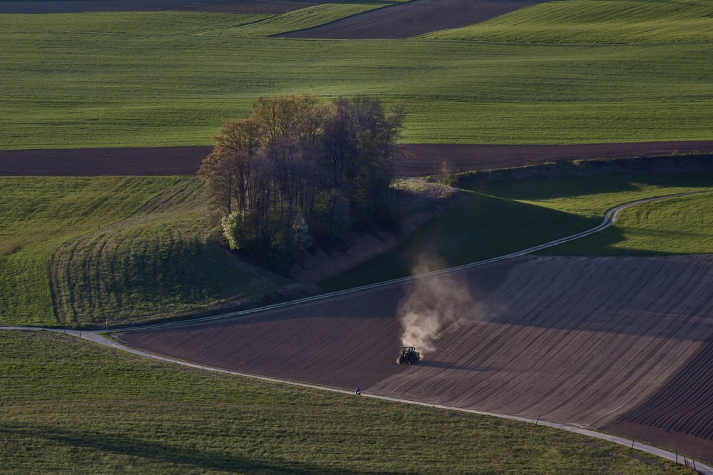 The route to the bread