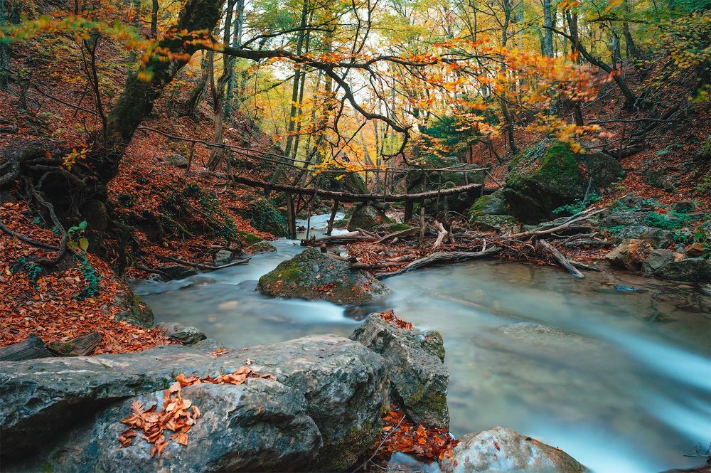 Осенний Джур Джур.