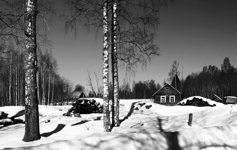 Photograph by Наталья Никитина