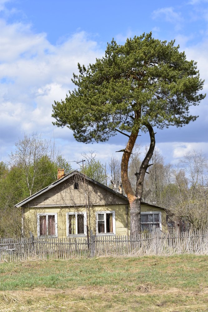 Домик в деревне