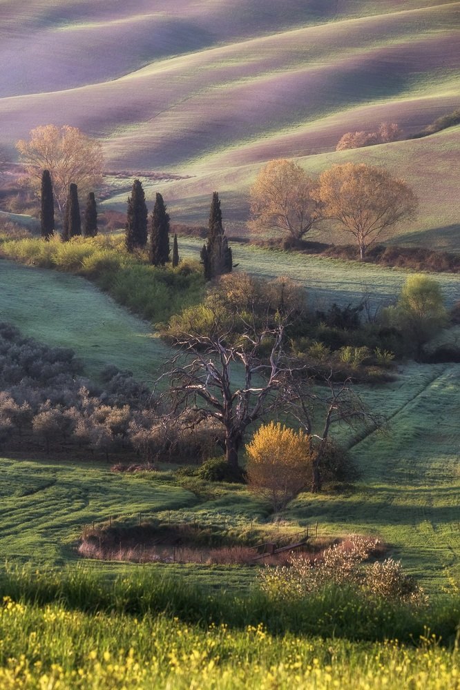 Tuscan landscape