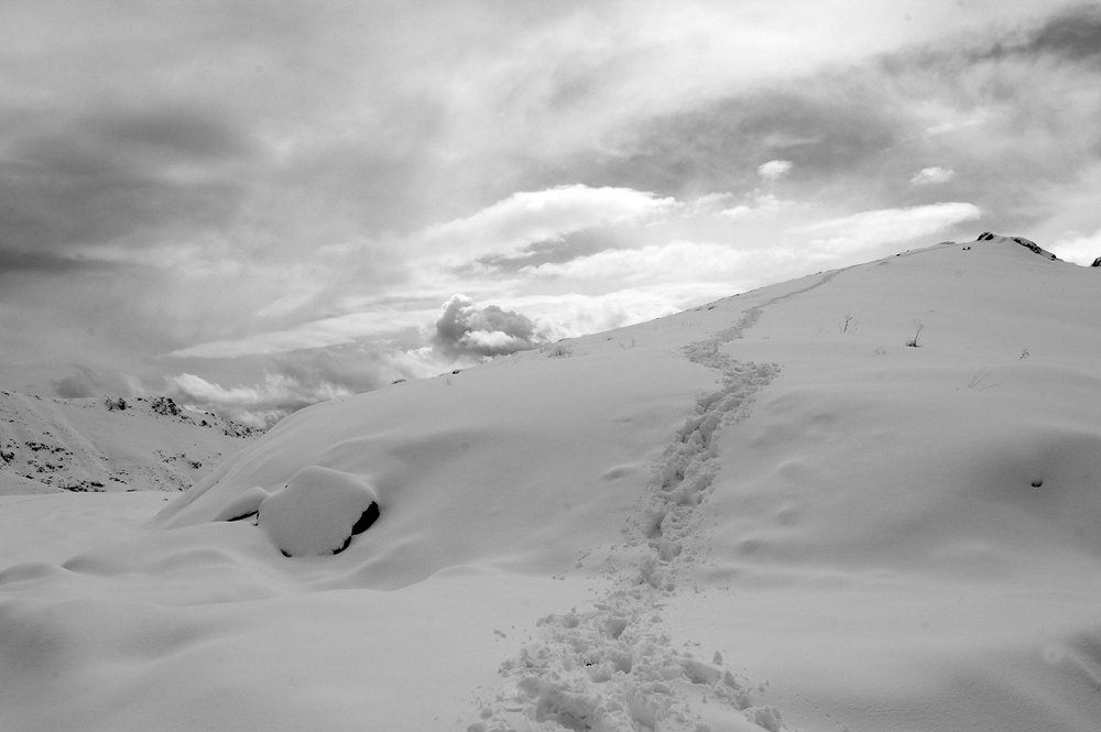 Фотография автора payman Mollaie