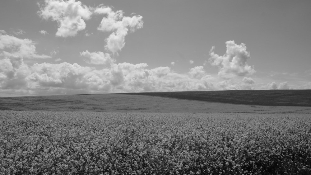 что же там за горизонтом