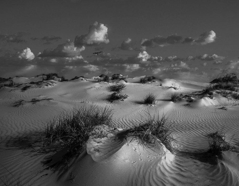 Photograph by Leonid Lan