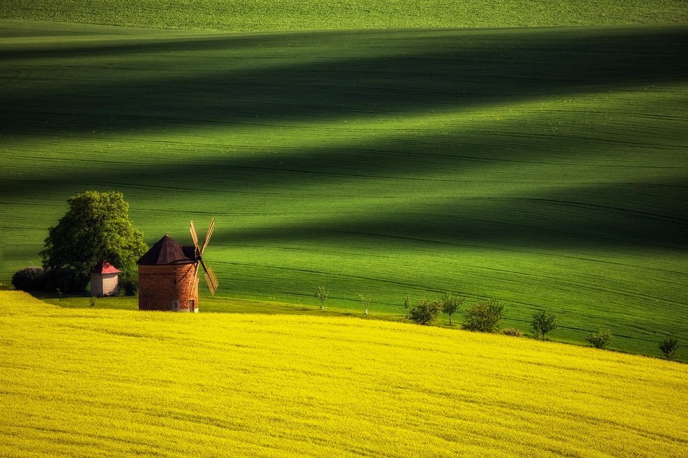 Spring in Moravia