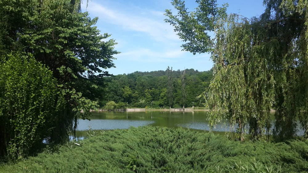 Photograph by mahmoud shihabi moni