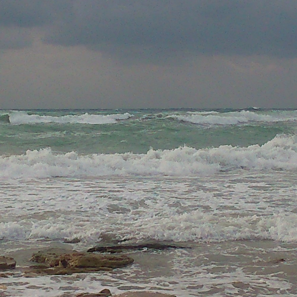 Photograph by mahmoud shihabi moni