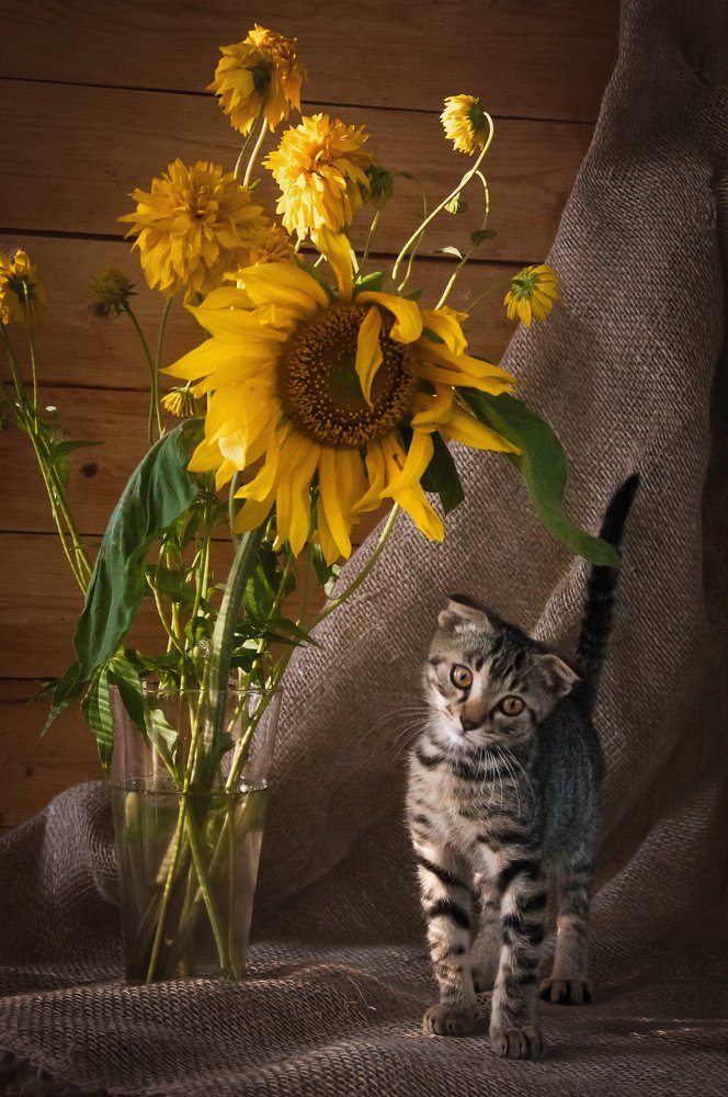 Photograph by Мария Дронова