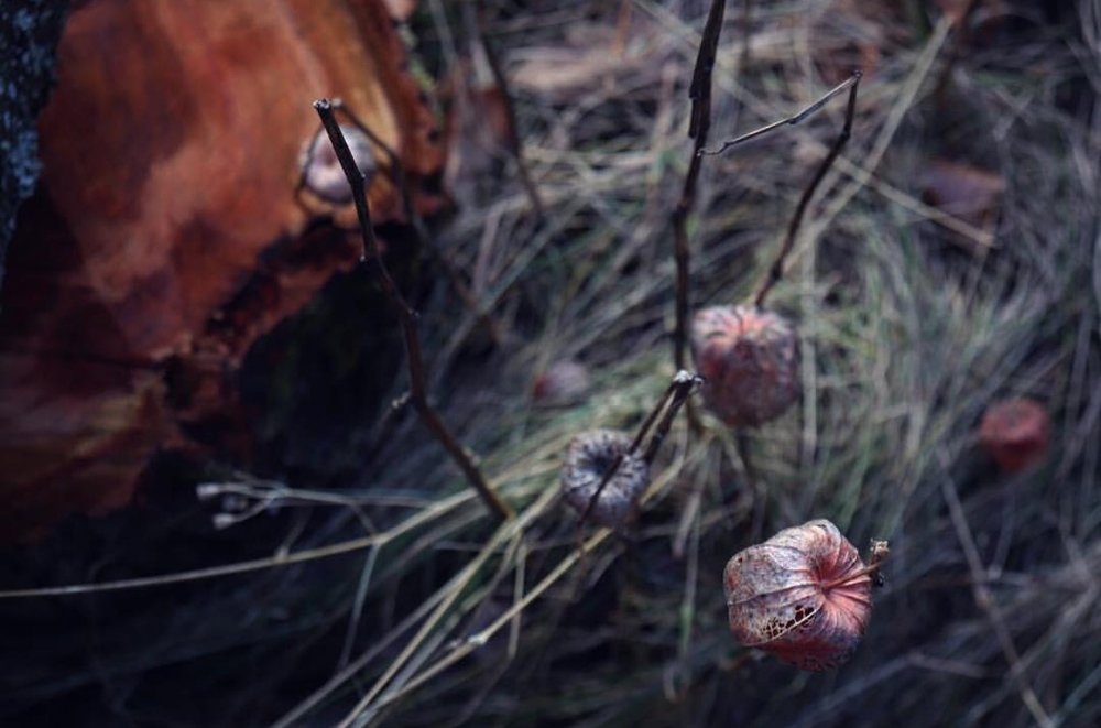 Is it ok to stand out?