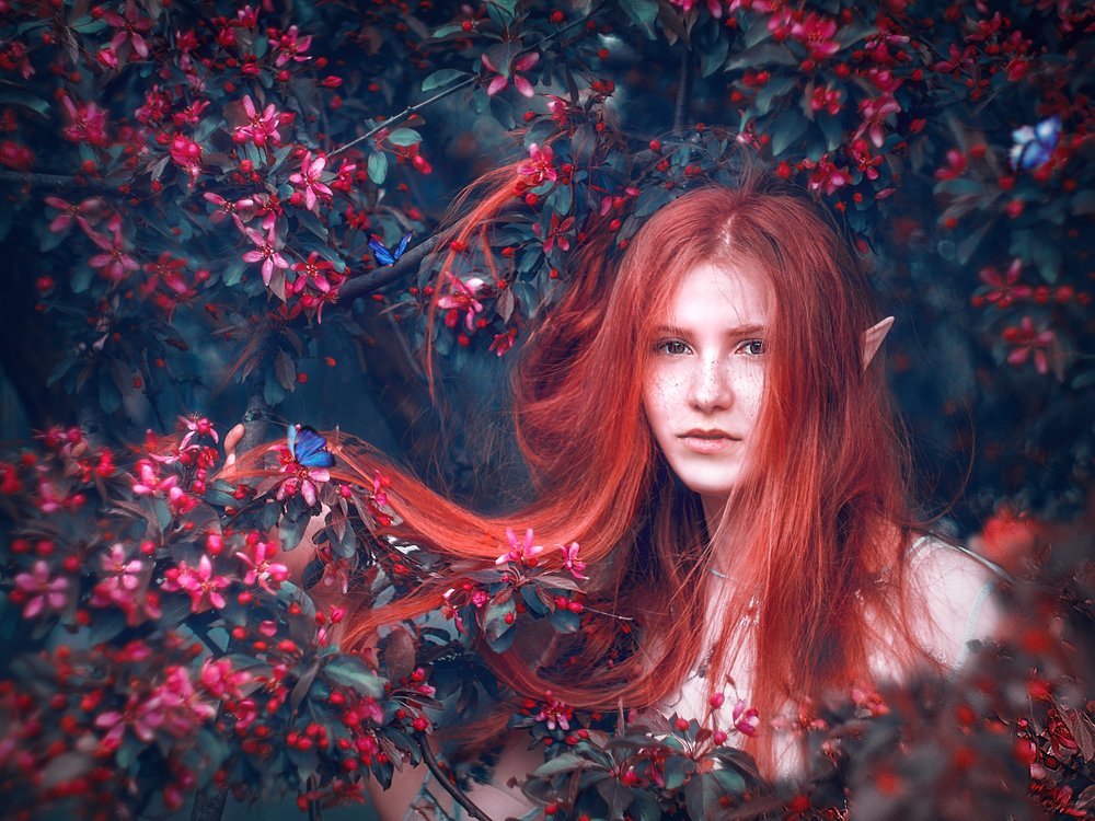 Photograph by Мария Шаркань