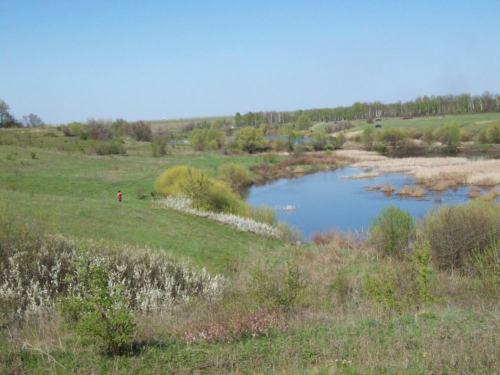 Весна