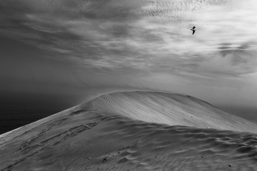 Flying into the storm