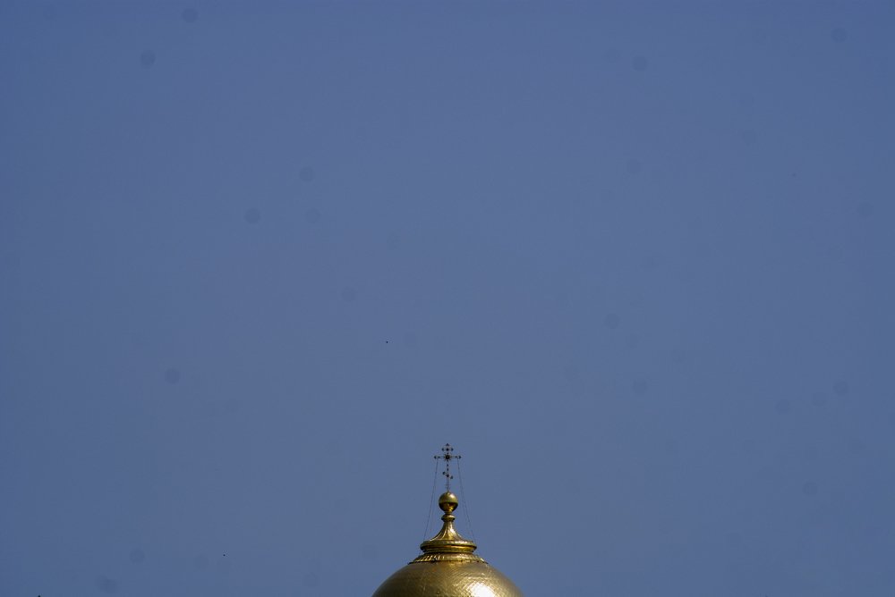Photograph by Дмитрий Недодаев