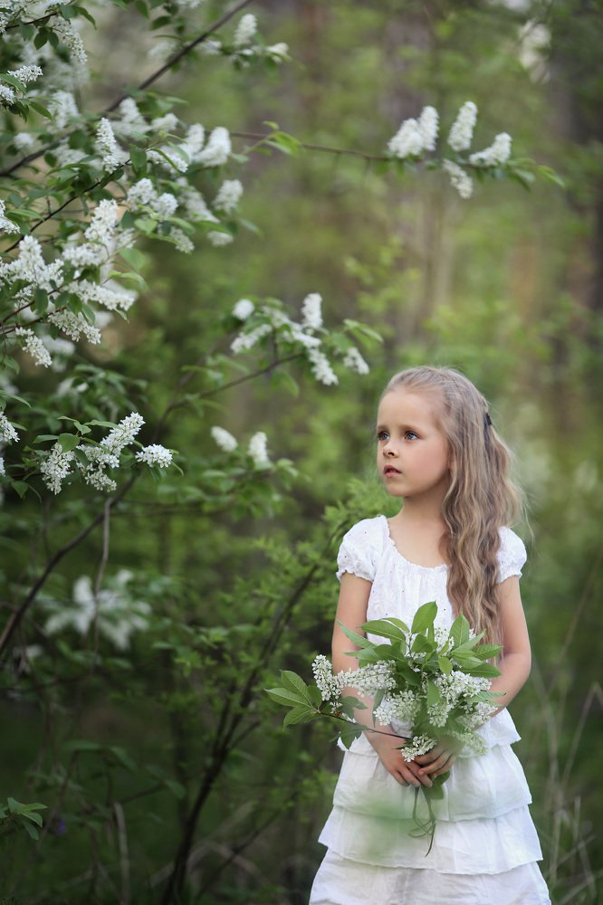 Белая черемуха