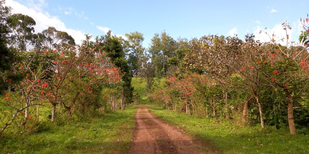 Route vers Grand Séminaire