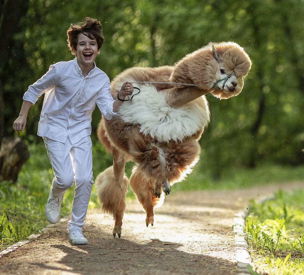 Весёлая прогулка