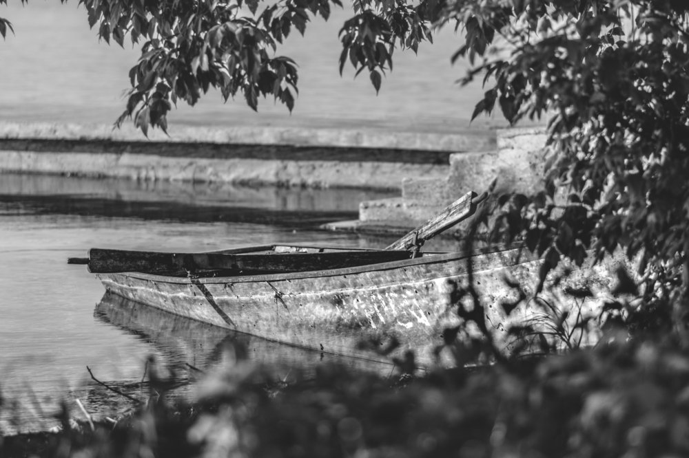 Photograph by Alisa Black