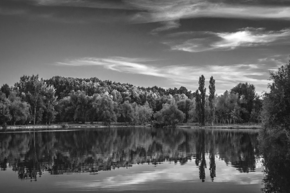 Photograph by Alisa Black