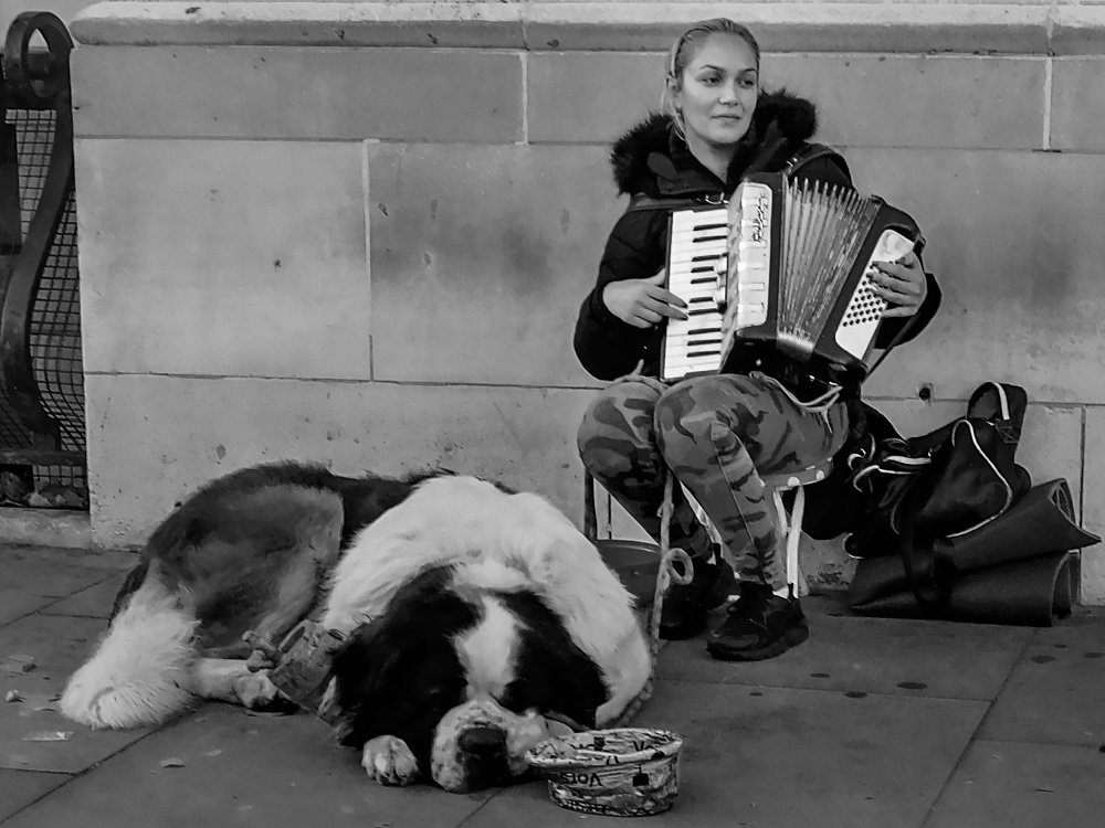 Musician and dog