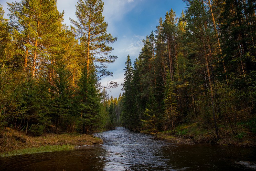 Вечер на Тесьме.