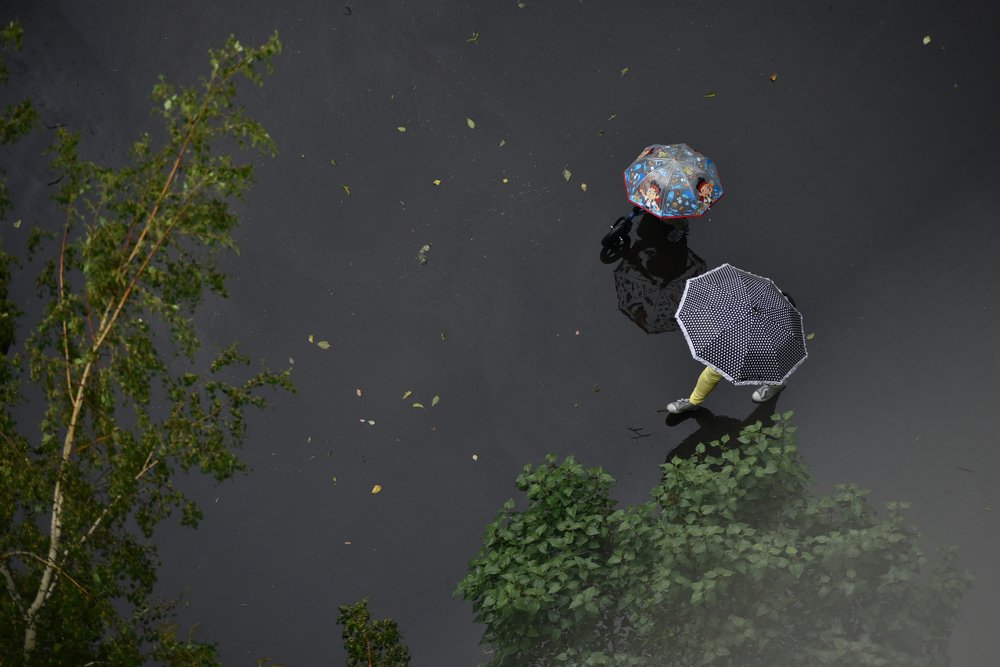 НОРМАЛЬНЫЙ ЛЕТНИЙ ДОЖДЬ