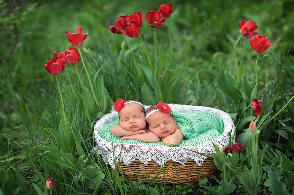 Весенние цветы