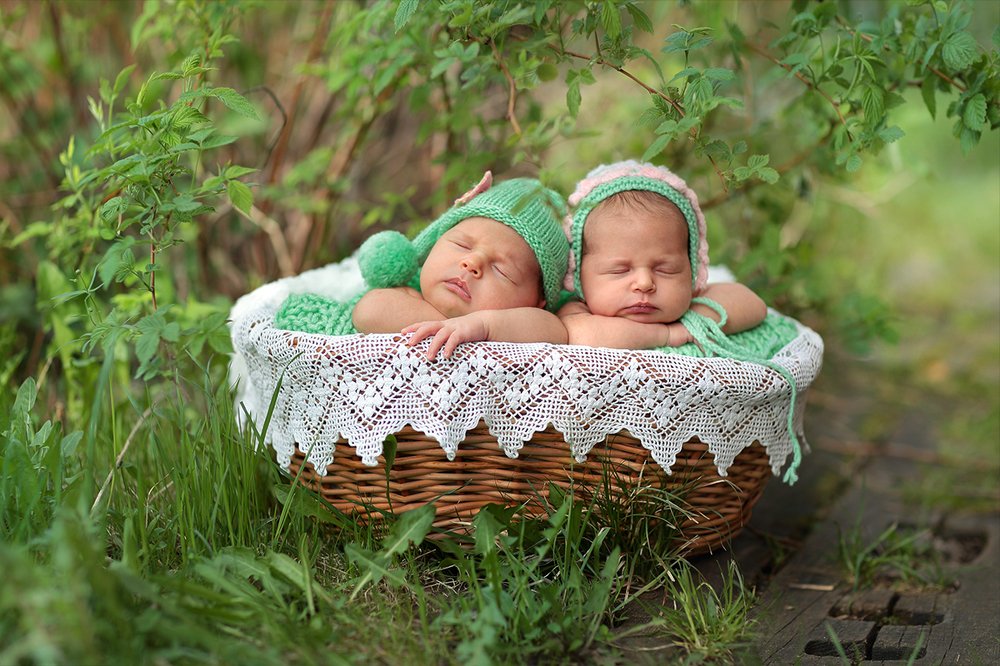 Счастье в лукошке