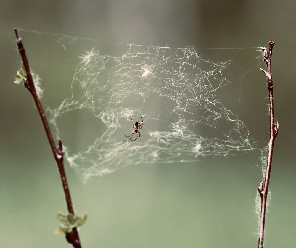 Photograph by  Михаил