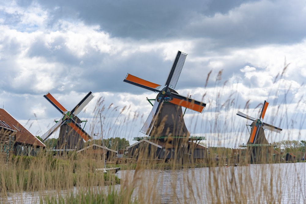 Ветряки Зансе-Сханса.