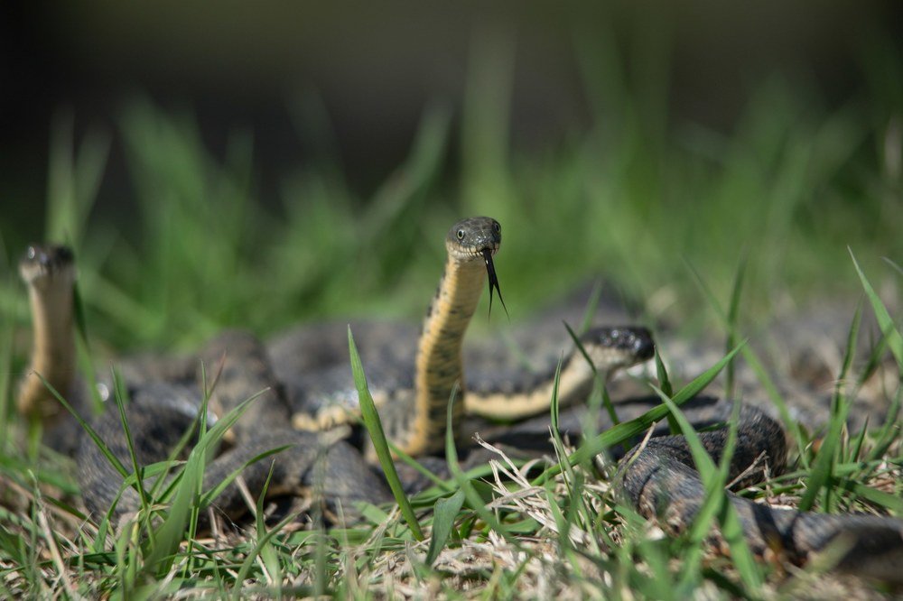 Photograph by Рустам Тулендеев