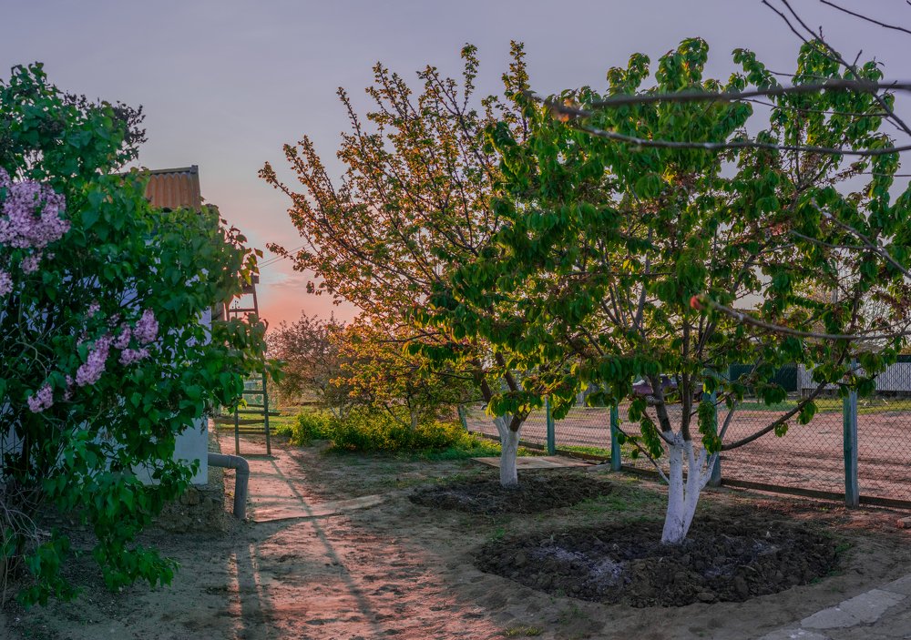 Photograph by Рустам Тулендеев