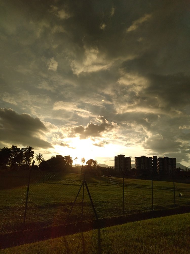 The Sun