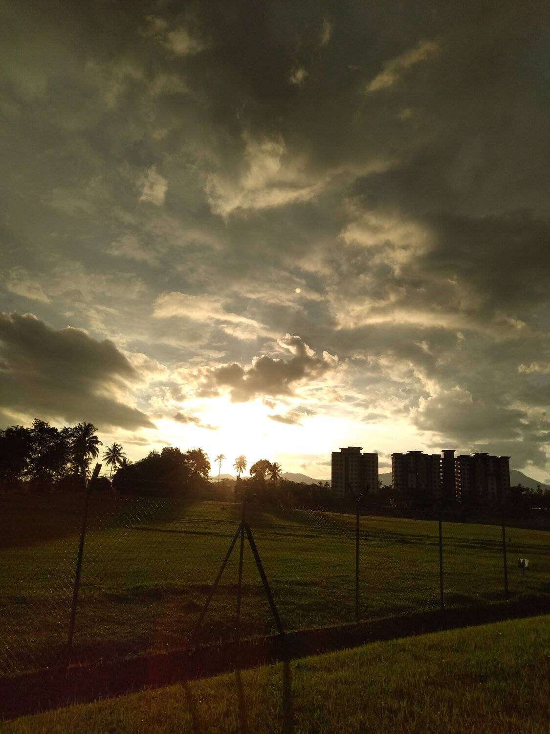 The Sun