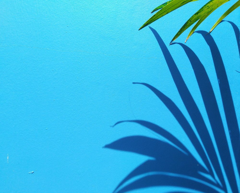 Conceptual Minimalism