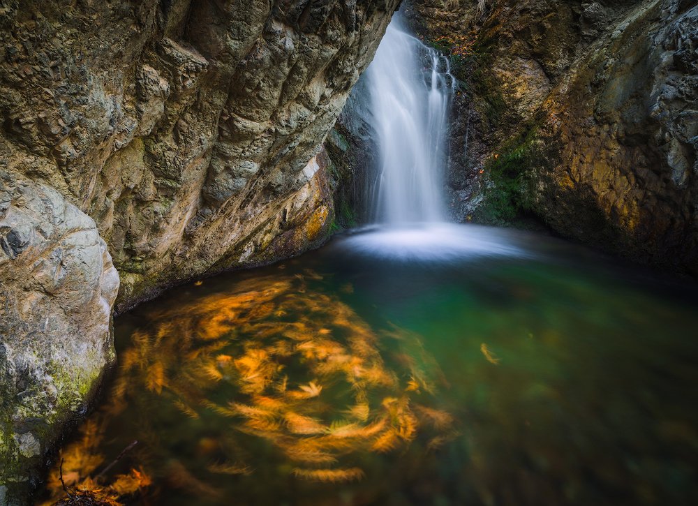 Осень наступила