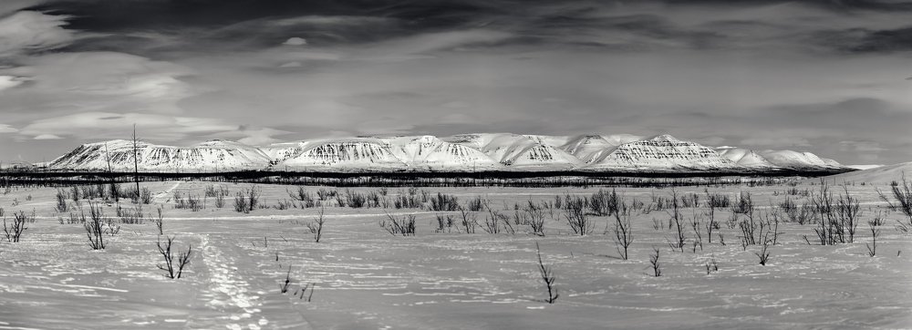 Photograph by Антон Кривошейцев