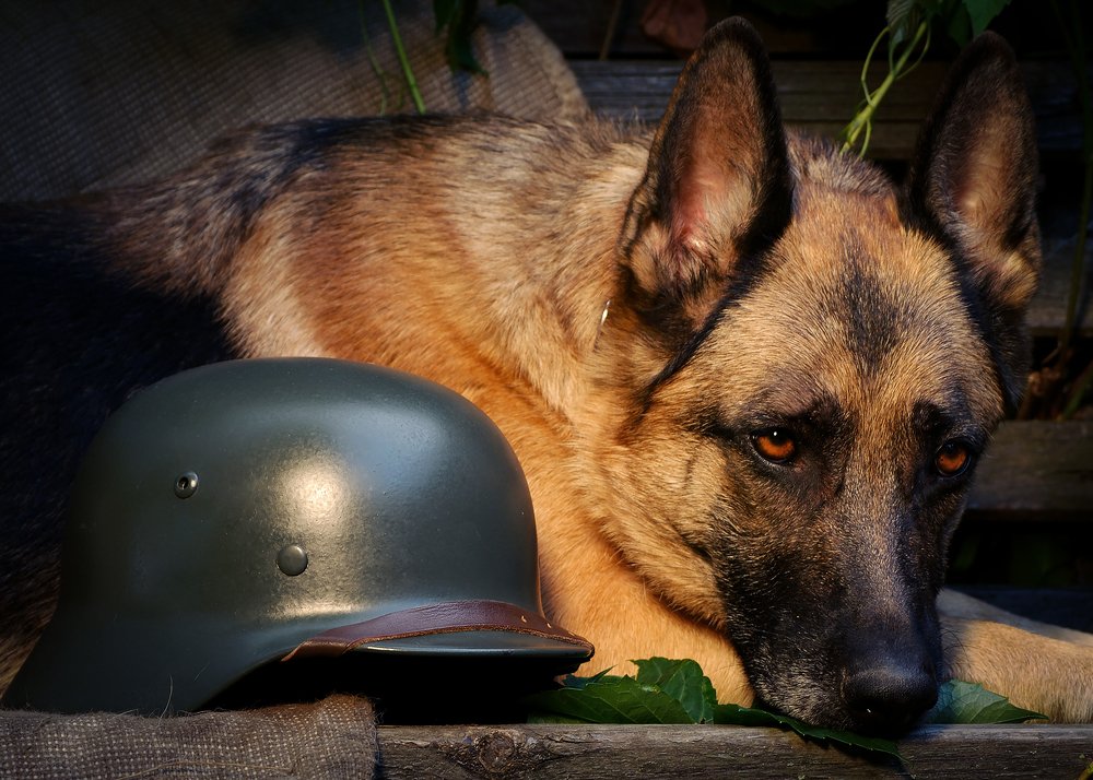 Photograph by Анна Айбетова