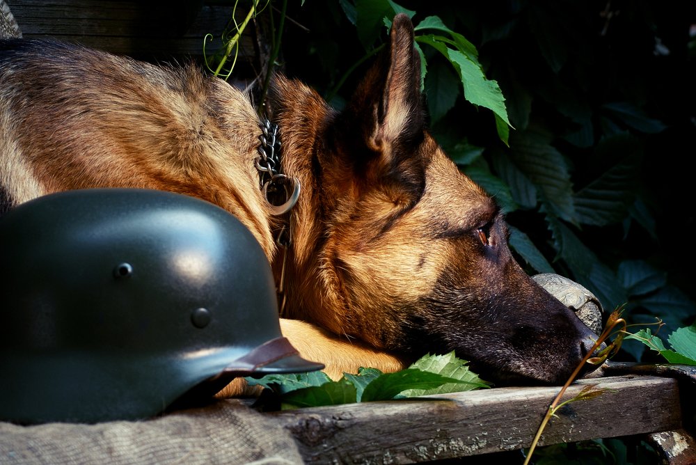 Photograph by Анна Айбетова