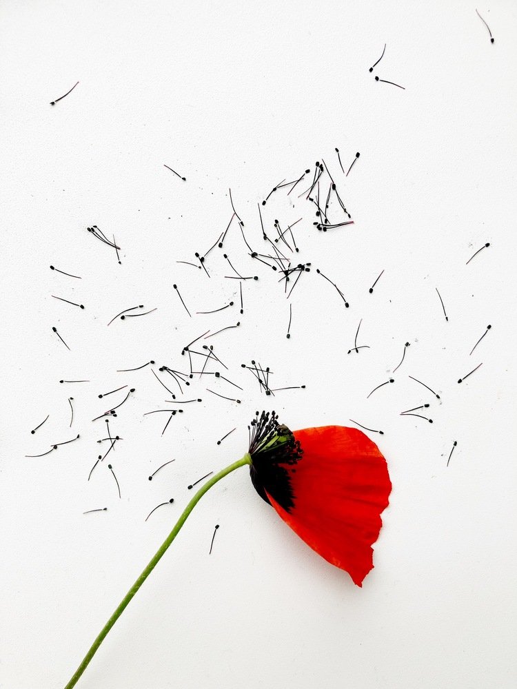 Ничто не вечно