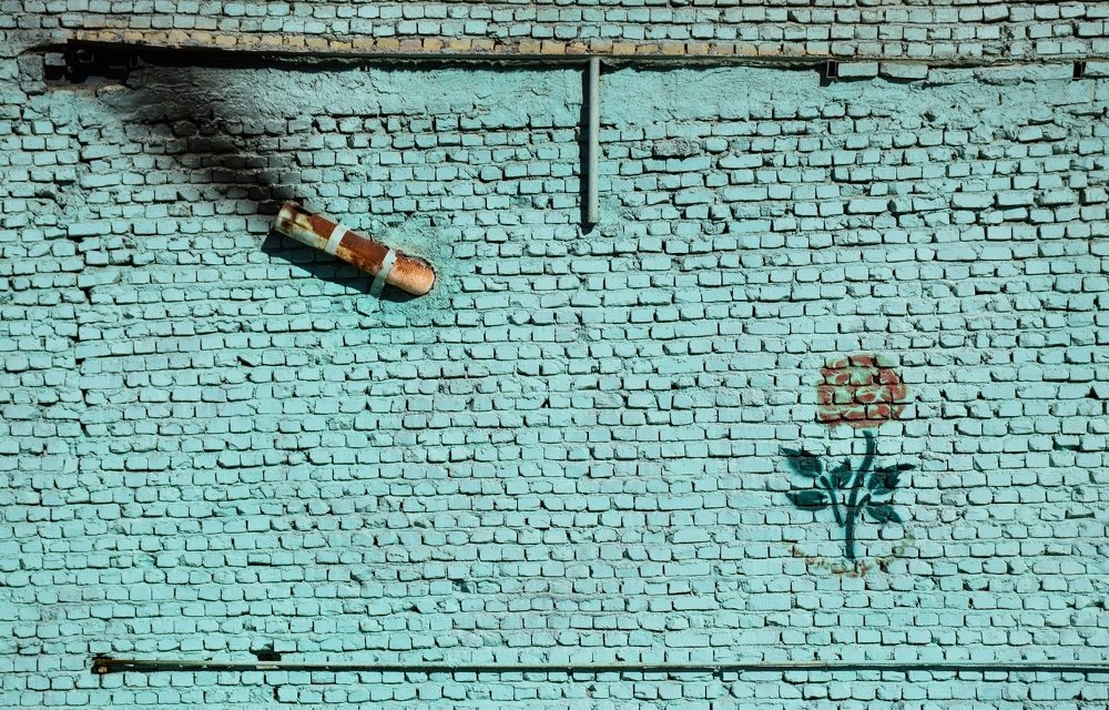 Photograph by Mina Yazdani rad