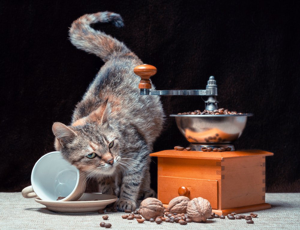 Утро начинается не с кофе