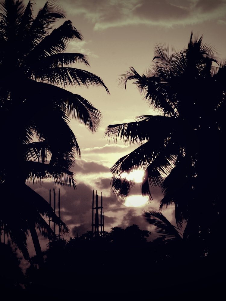 Photograph by Darsh