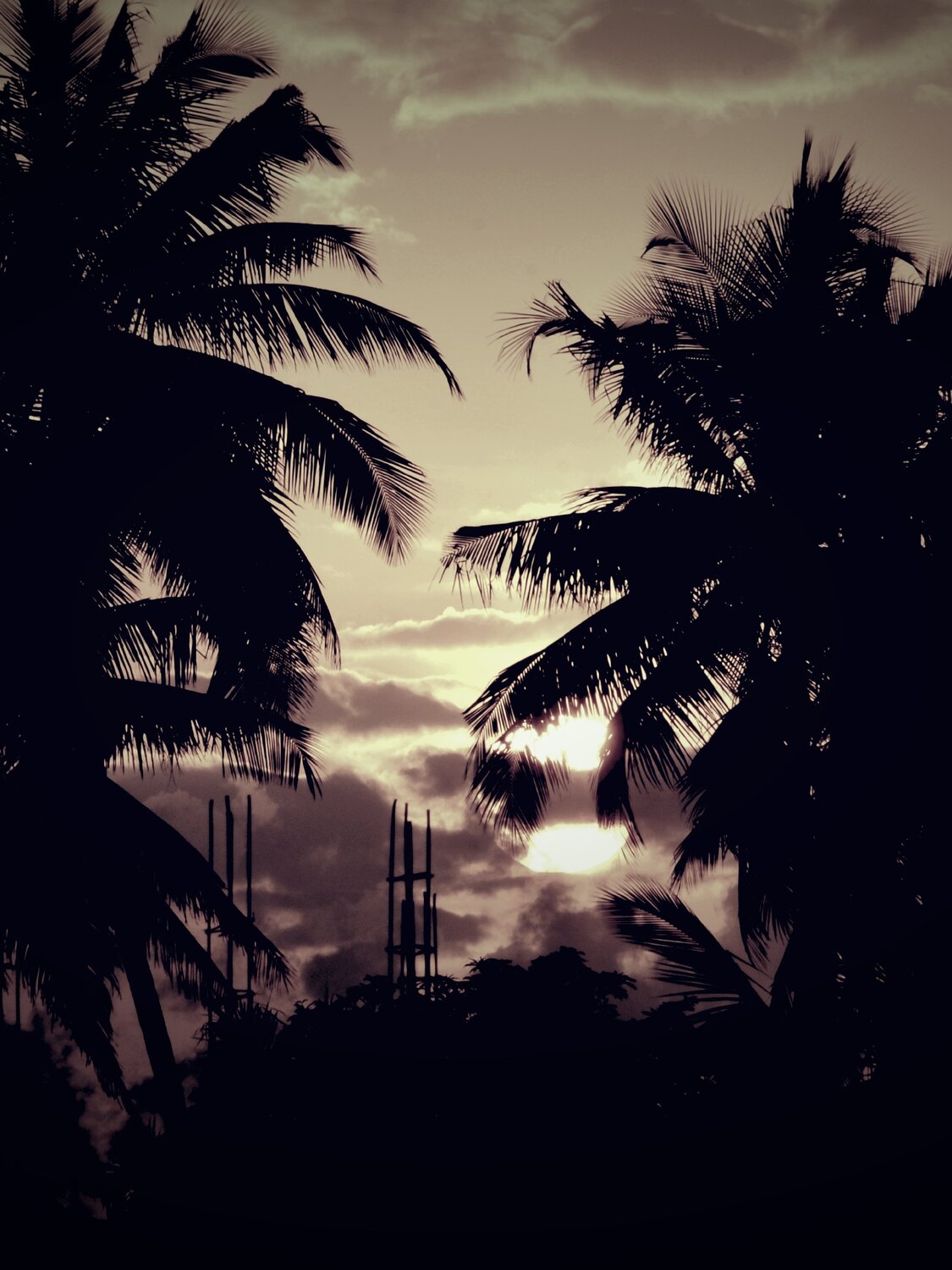 Photo #3214061