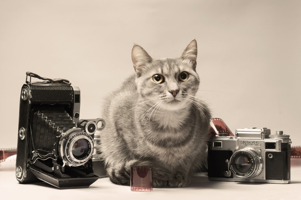 Photograph by Артем