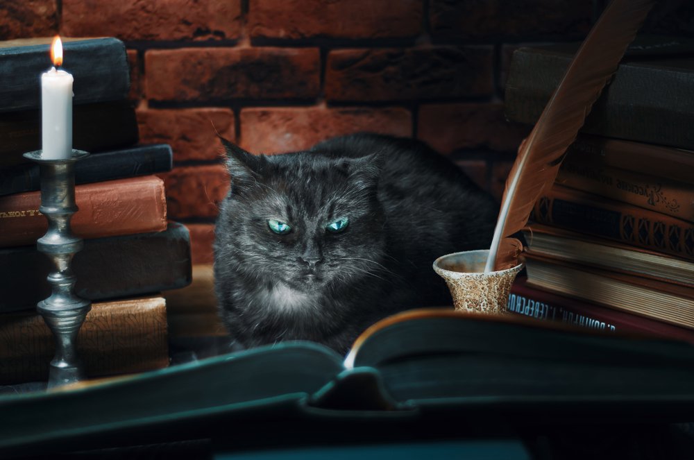 Photograph by Артем