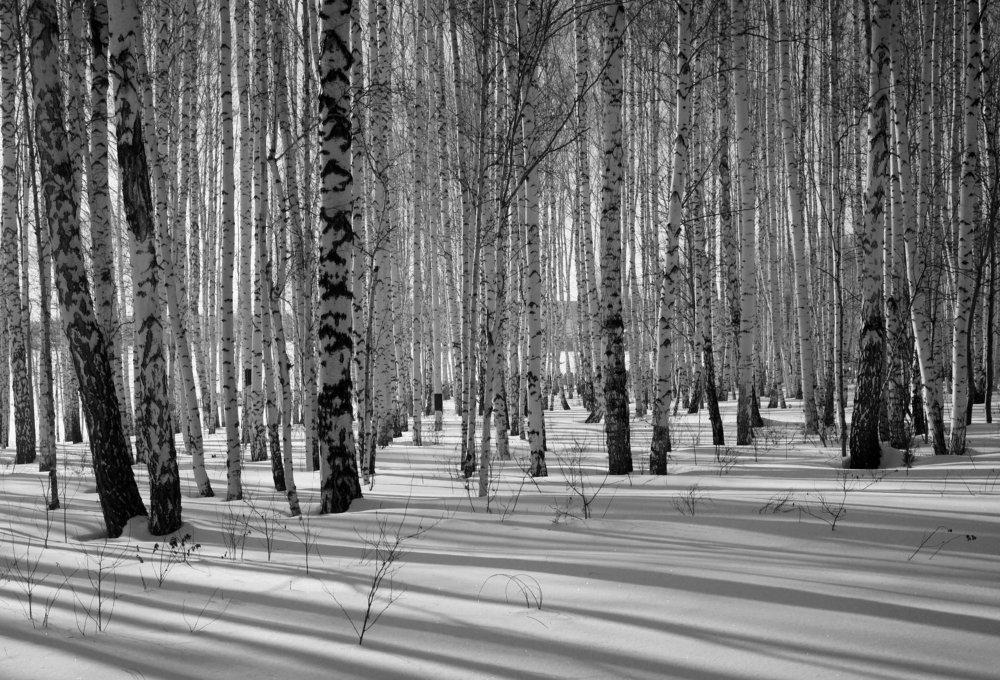 March. Март.