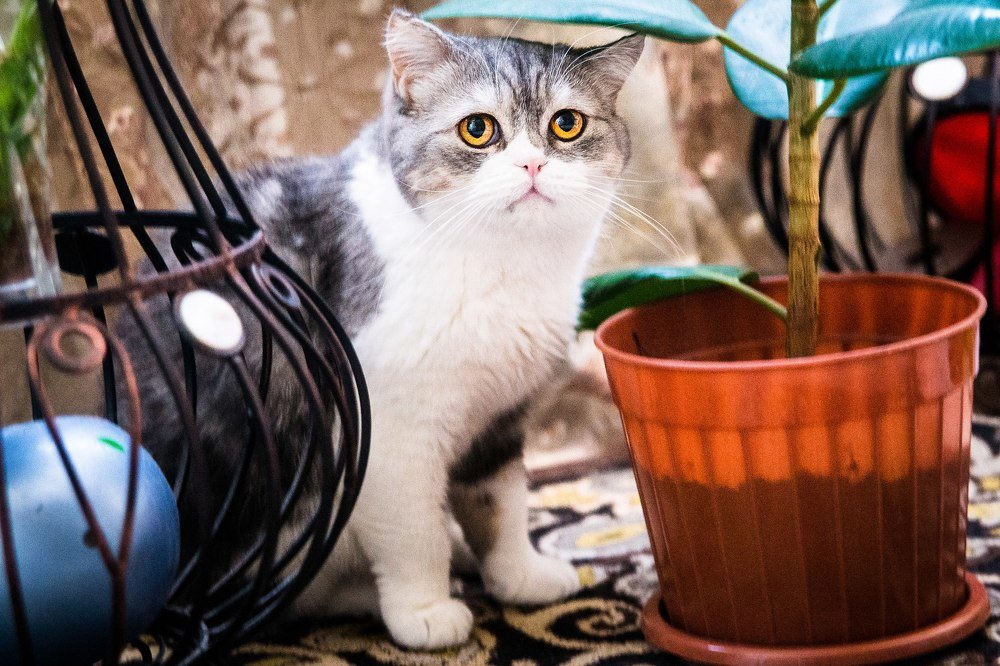 Игра в прятки