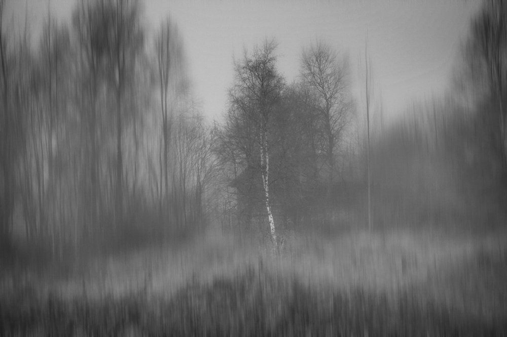 Photograph by Белова Лариса